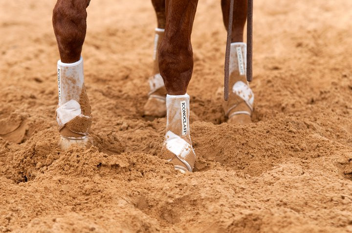 THE ICONOCLAST®  DIFFERENCE
The Iconoclast® Orthopedic Support Boot has absolutely REVOLUTIONIZED equine leg support. Iconoclast® Boots are specifically designed to support and protect the suspensory and sesamoidial regions by providing 360-degree support of the equine leg. Never has this method of support been provided for the equine athlete through a strap on, non-restrictive device.
 
Our entire line of Iconoclast® Boots were designed by horse trainers and leading veterinarians who were unsatisfied with the performance of every other equine boot in the market place. The equine leg needs support and protection against the daily rigors of extreme physical activities and there has not been a boot that adequately meets both of those demands until now. THAT IS THE ICONOCLAST® DIFFERENCE!