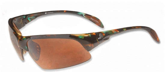 Cleancut Tortoiseshell