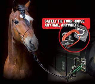 Safe-T-Tie - SET OF 2