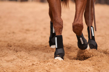THE ICONOCLAST®  DIFFERENCE
The Iconoclast® Orthopedic Support Boot has absolutely REVOLUTIONIZED equine leg support. Iconoclast® Boots are specifically designed to support and protect the suspensory and sesamoidial regions by providing 360-degree support of the equine leg. Never has this method of support been provided for the equine athlete through a strap on, non-restrictive device.