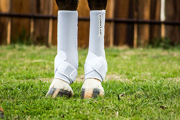 Performance horses need extra support because they are exposed to difficult maneuvers such as hard stops, backing, deep turns, jumps, and long, full strides. As a result of performing these maneuvers the hock reaches a fully flexed position and a “vertical load” force is applied to the hock joints and the soft tissue of the lower limbs. Since the suspensory ligament attaches at the top of the cannon bone, just below the lower hock joints, it can become stressed or injured due to these forces from above.