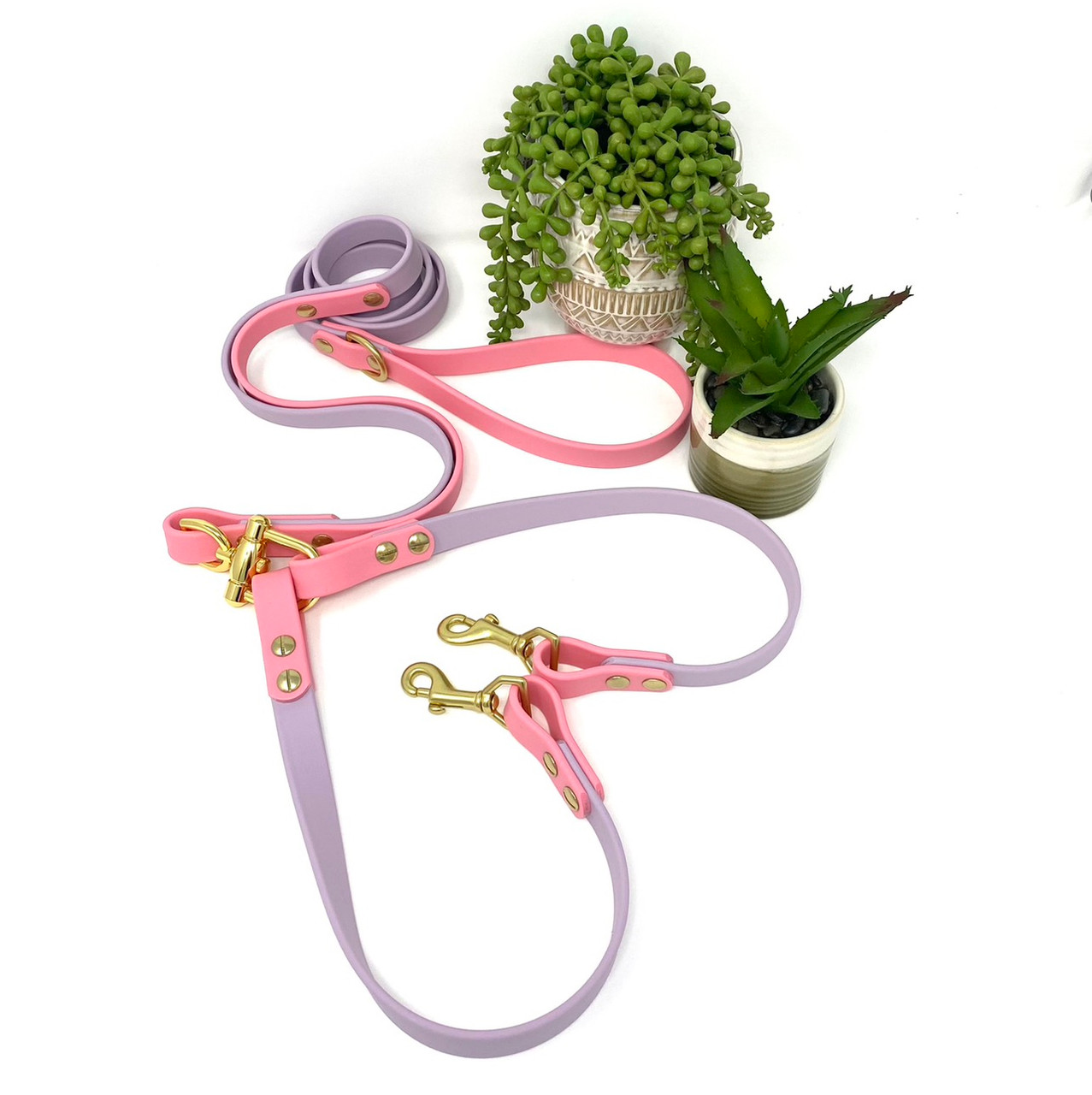 Biothane Waterproof Dog Leash - Sage Green Solid Brass