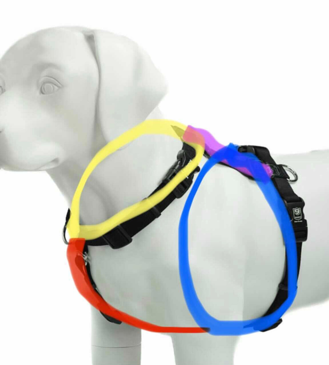 NEIGHBORHOOD DOG HARNESS グレー Dog Harness Plain Cool Grey (DH-ZZ-GY) | Red Dingo