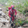 CRimson Guard is on patrol