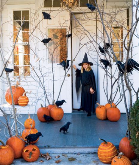 Pumpkin Planters