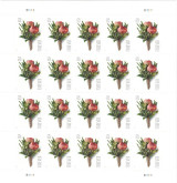 USPS Stamps: A Guide to the Latest Releases and Collectible Series