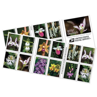 Wild Orchids Forever First Class Postage Stamps