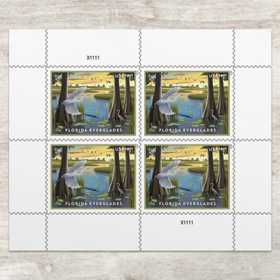 USPS 2023 Florida Everglades Priority Mail Postage Stamps on Sale!