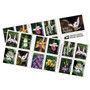 Wild Orchids Forever First Class Postage Stamps