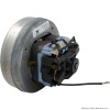 Sundance® Spas Air Blower Motor, 220-240 Volt, 1 HP