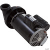 2 Speed 2.5 HP Sundance® Altamar Theramax Spa Pump 230 Volt 11.0 / 3.3 Amp, T55MWCCE