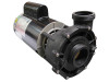 CURRENT VERSION Sundance® Spas  Ramona Spa Pump
2.5 HP 56 Frame, 220-240 Volt, Two Speed, Baseless