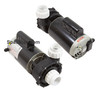 Sundance® Spas Peyton Spa Pump Two Speed 220-240 Volt RPM: 3450/1725 Intertek 60 HZ