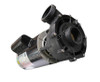 Latest Version Sundance® Spas Peyton Spa Pump One Speed 220-240 Volt RPM: 3450 Intertek 60 HZ
