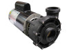 2011 Sundance® Spas Chelsee Spa Pump 2.5 HP Two Speed 220-240 Volt Baseless Replaced WUA400-6500-367