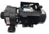 6500-907 OEM Sundance® Jacuzzi® 1/15 HP 220-240 Volt WTC50M LX Circulation Pump
