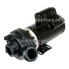 Current Version Sundance® Spas TheraMax 2 Speed 2.5HP Spa Pump 230 Volt Replaced Emerson T55CXBZF-1149 1563 1795
