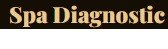 Spa Diagnostic Fee