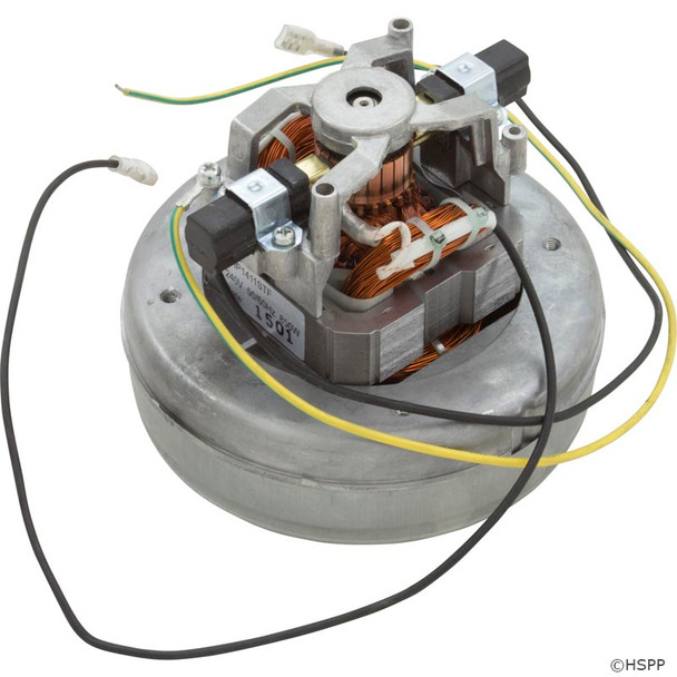 Sundance Spas Air Blower Motor 220/240 VAC