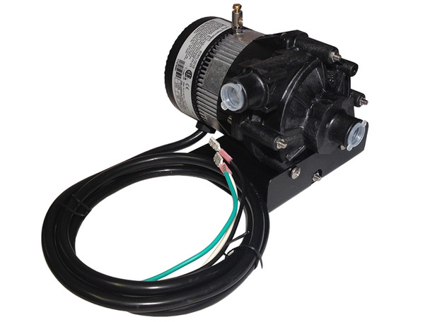 Laing Circulation Pump for Jacuzzi and Sundance Circulation Pump, 220 - 240 Volt