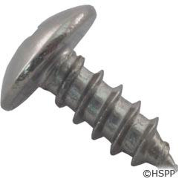 Safety Latch Screw, Pentair Rainbow RTL