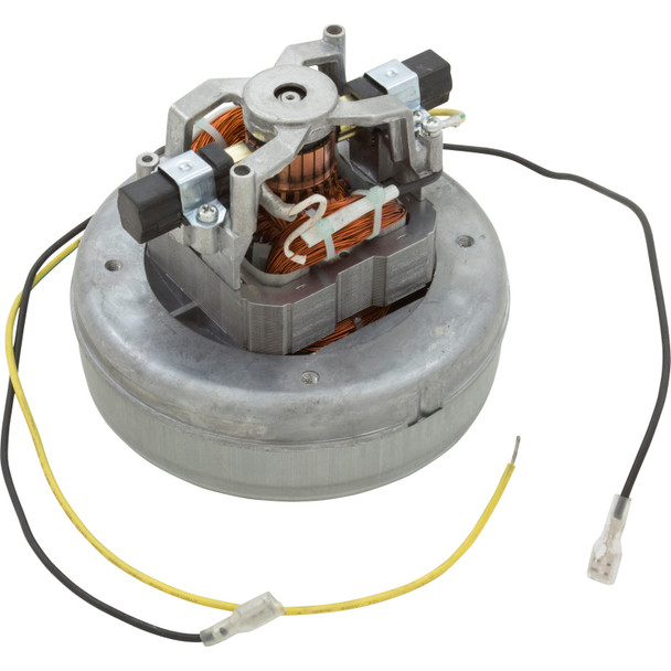 Sundance® Spas Air Blower Motor, 220-240 Volt, 1 HP