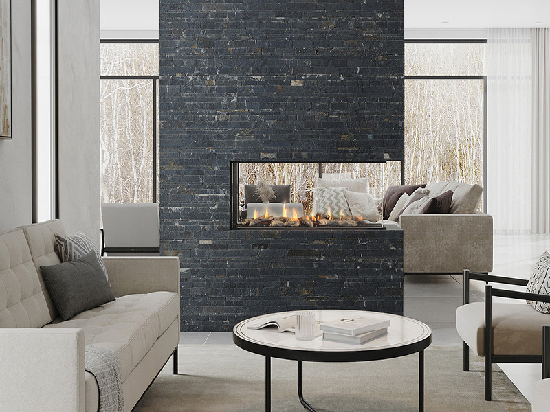 Regency 50" City Series Santa Monica Pier Direct Vent - Luxury Fire