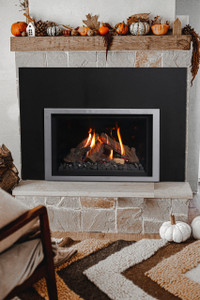 Ortal Wilderness Gas Fireplace Insert 29" Ortal Wilderness Gas Fireplace Insert 29"