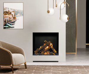 Ortal Front Facing 31 Gas Fireplace Ortal Front Facing 31 Gas Fireplace