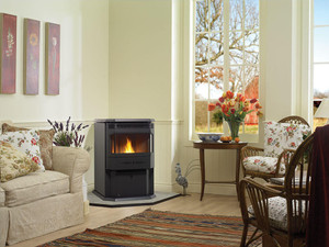 Regency Fireplace Products Regency Greenfire GF55 Pellet Stove Regency Fireplace Products Regency Greenfire GF55 Pellet Stove
