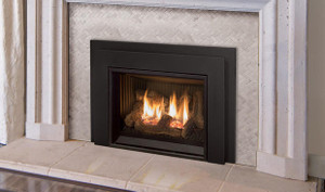Enviro Gas Insert E20 Enviro Gas Insert E20