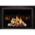 Mendota FV44i FireIn Gas Insert