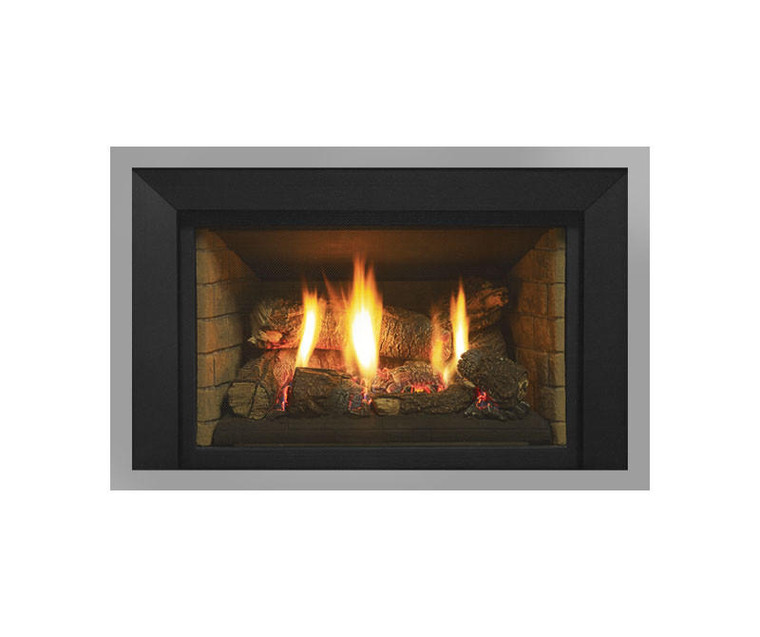 Regency Fireplace Products Regency Liberty LRI4 Gas Inserts
