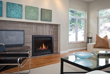 Regency Panorama Gas Fireplaces P36E - Fireplace Surplus