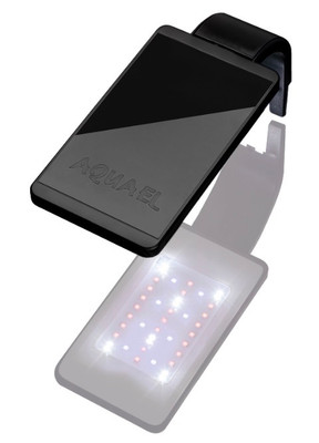 AquaEl Leddy Smart Clip On Light Black