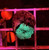 Watermelon Mushroom Coral