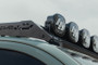 Photo - Close Up