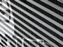 Photo - Unmounted