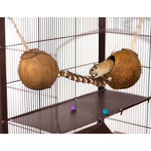 Prevue Pet Products Double Coconut with Ladder 62818 N274-ES01PP62818