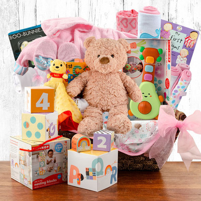 Grand Welcome: Baby Girl Gift Basket Z954-CPB-336