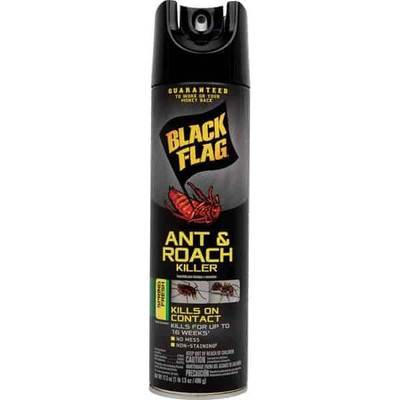 Insect Spray Diversion Safe W300-DS-BFLAG