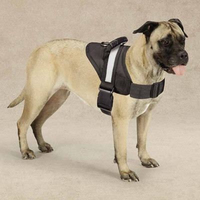 Guardian Gear Excursion Dog Harnesses M N274-BP01ZA6223_20_17