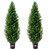  Artificial Cedar Topiary Tree, 48 inch Tall (2 Pieces), with Extra Leaves & Pot Faux Evergreen Fak E415-XSRGXJS48YCA5XA8BV0