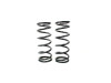 Terrafirma Defender 90, Discovery 1 and Range Rover Classic Rear 2 Inch Light Load Springs - TF015
