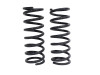 Terrafirma Defender 110 and 130 Rear 2 Inch Medium Load Springs - TF019