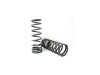 Terrafirma Defender 90, Range Rover Classic, Discovery 1 and 2 Rear 2 Inch Heavy Load Spring Set - TF027V