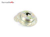 Terrafirma Rear Drilled And Grooved Brake Discs For  Rane Rover L322 To 2006