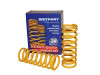 Britpart Defender, Discovery 1, 2 and Range Rover Classic 40mm Lifted Light Load Rear Springs - DA4203