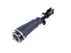 Dunlop Front Left Hand Front Air Leg with Dynamic Suspension for Range Rover L322 - LR032567