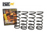 Old Man Emu Def/D1/RRC Heavy Duty 2 Inch Lift Spring Set